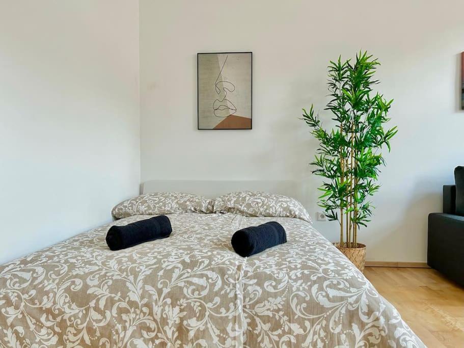 50 M2 Stylish With Free Parking